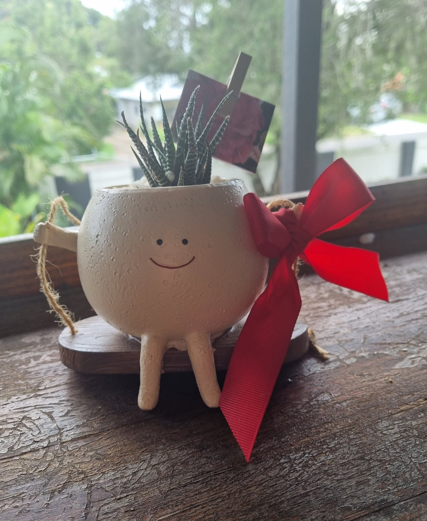 Plant Pals Swinging Planter + Plant