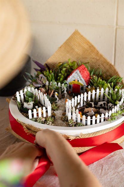 Made to Order Succulent Garden Farmhouse