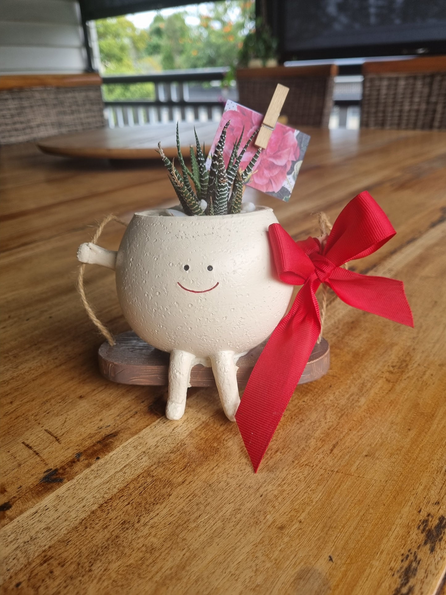 Plant Pals Swinging Planter + Plant