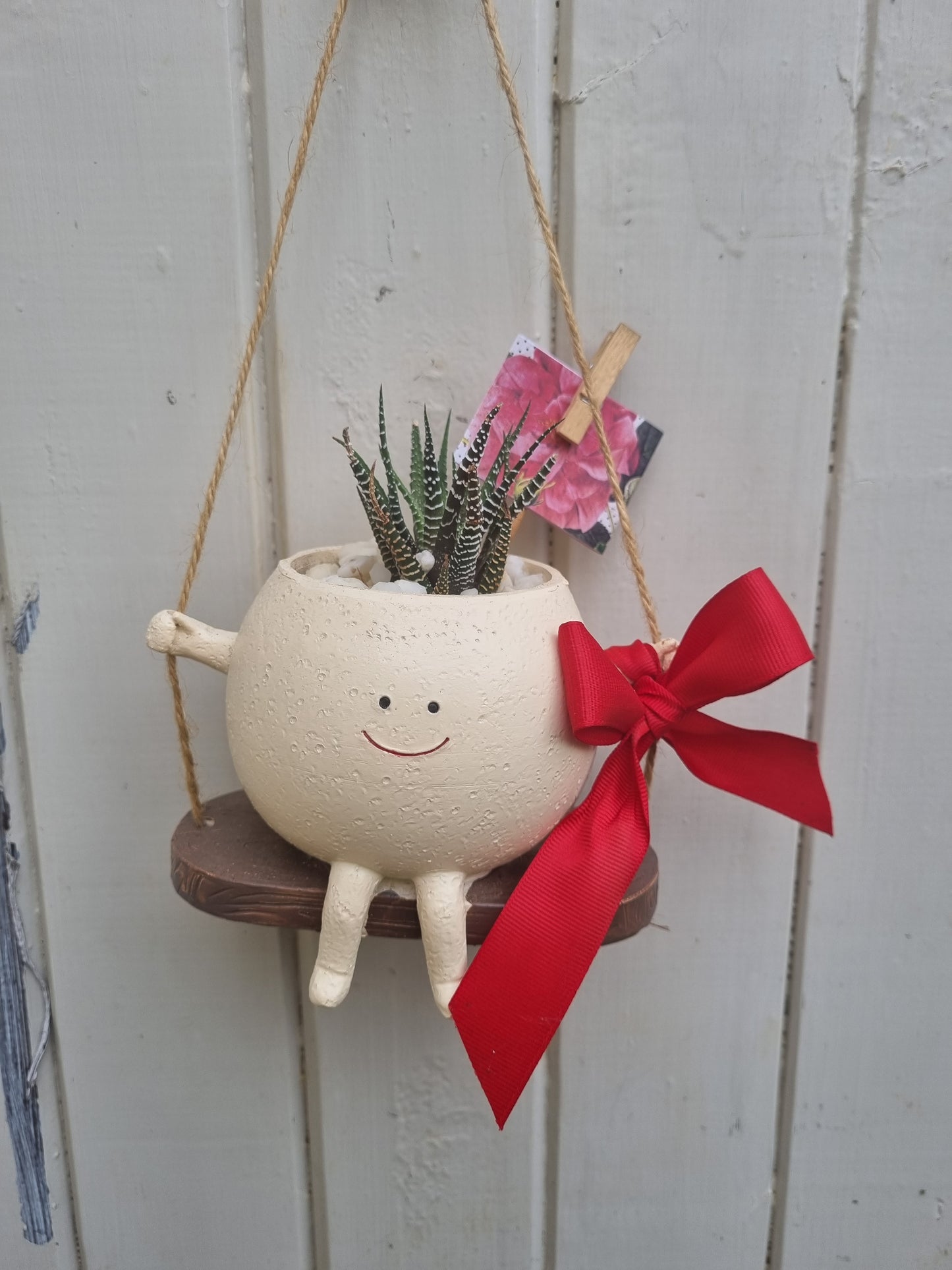 Plant Pals Swinging Planter + Plant
