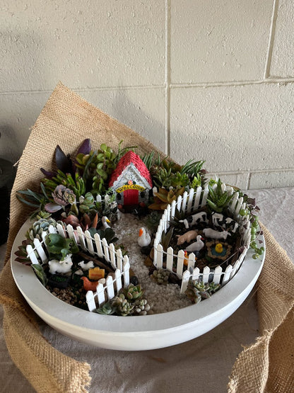 Made to Order Succulent Garden Farmhouse