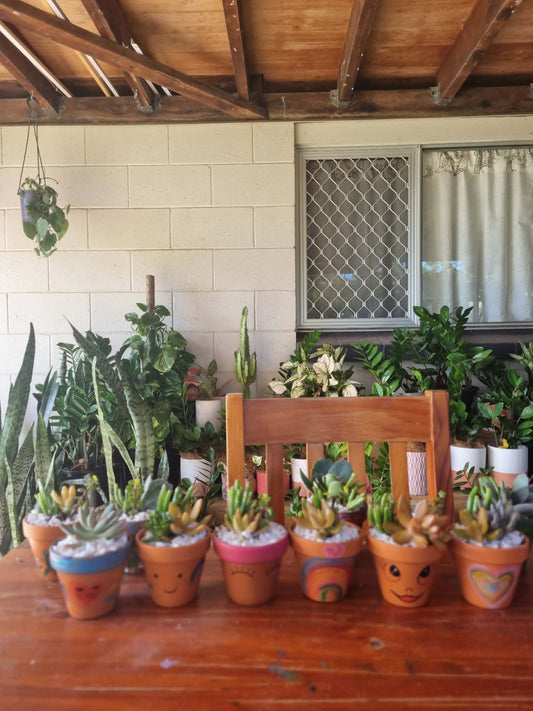 Plant Pal Party Packs (minimum 10)