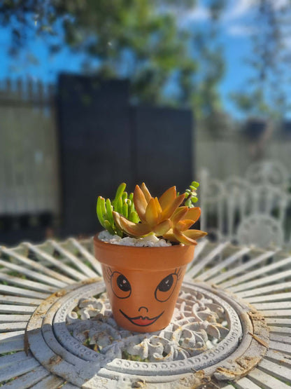 Plant Pal Party Packs (minimum 10)