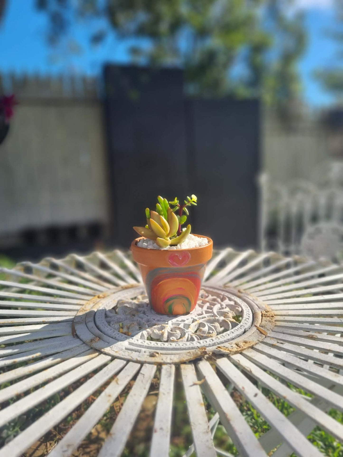 Plant Pal Party Packs (minimum 10)