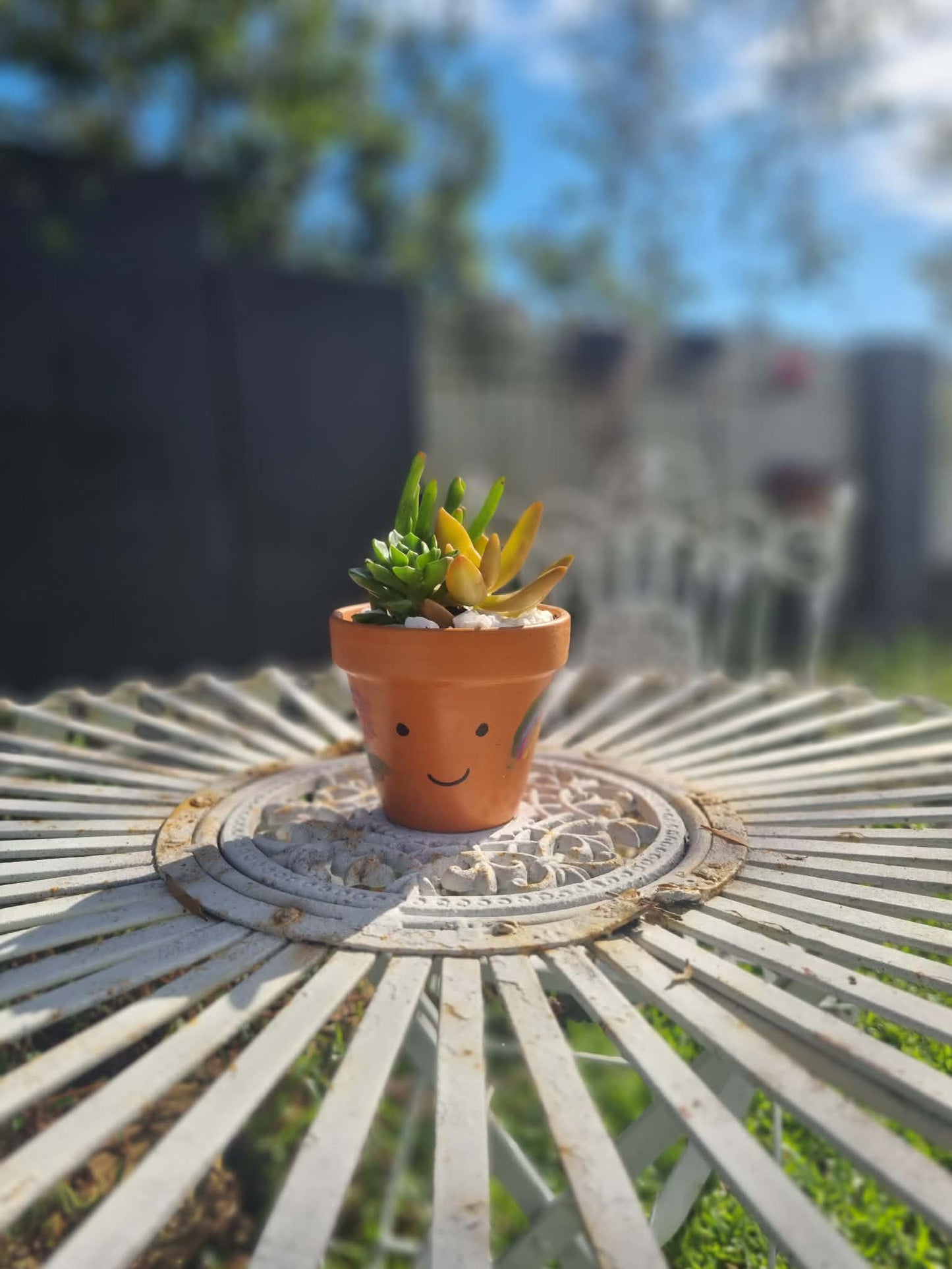 Plant Pal Party Packs (minimum 10)