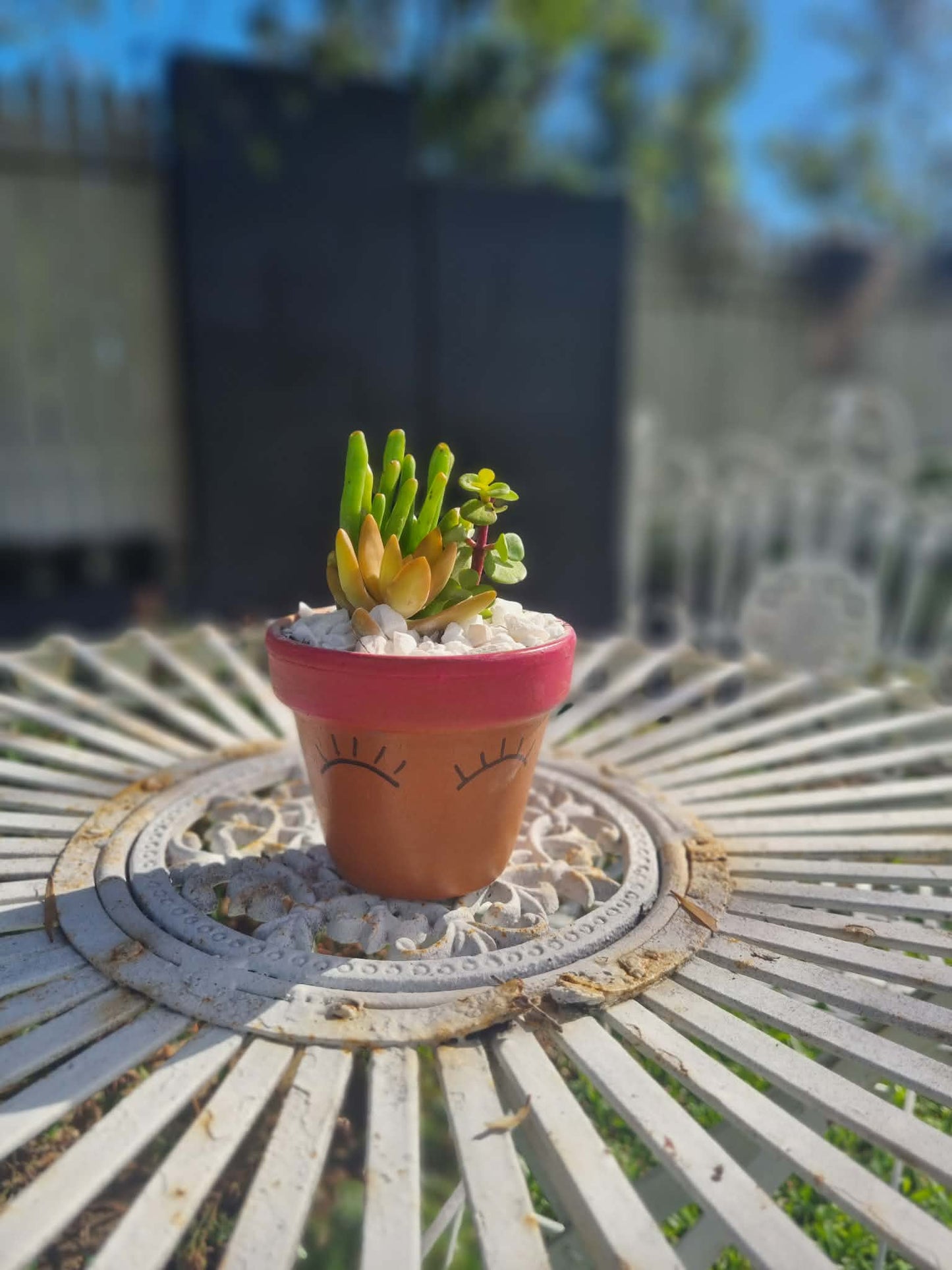 Plant Pal Party Packs (minimum 10)