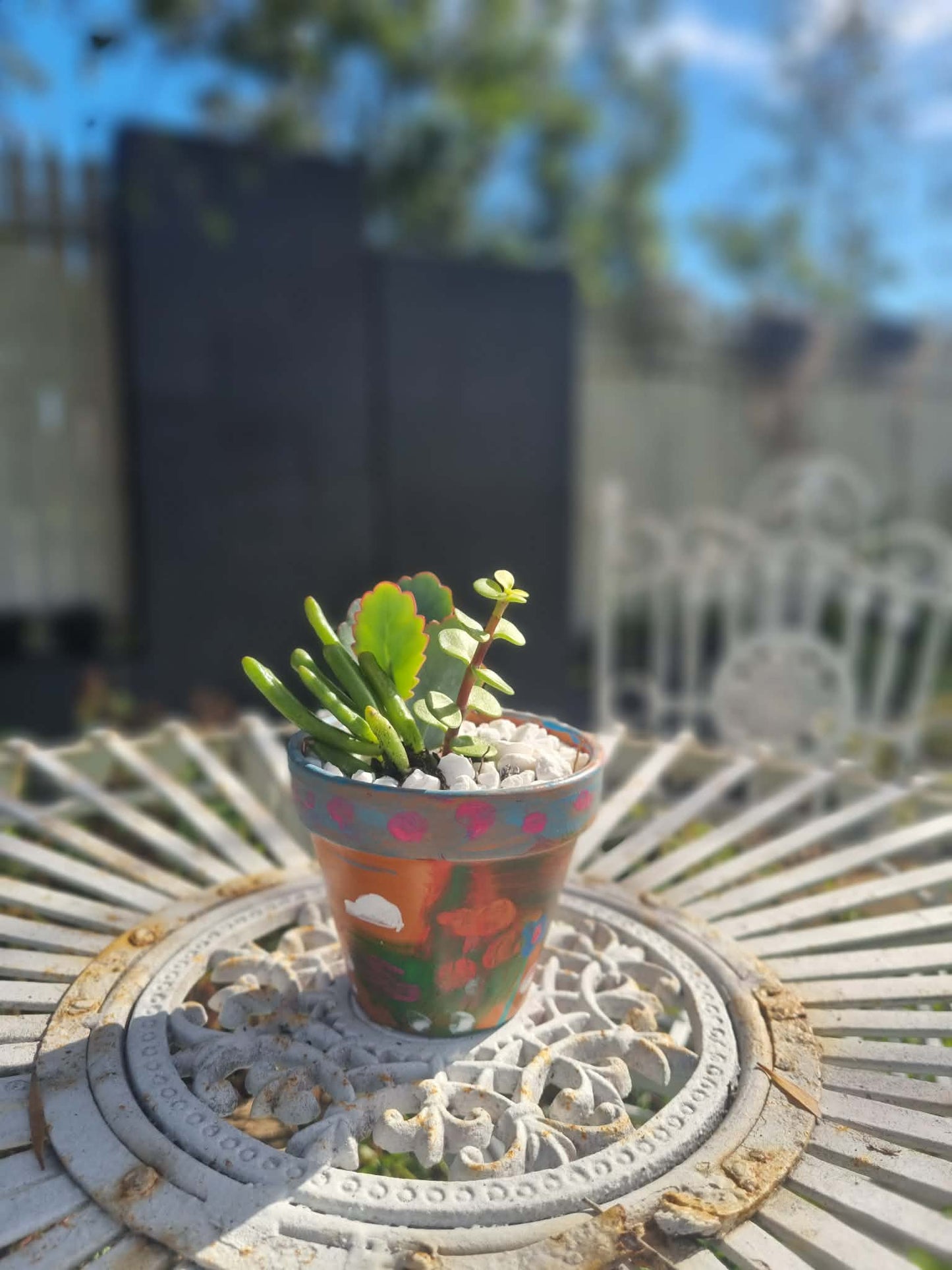 Plant Pal Party Packs (minimum 10)