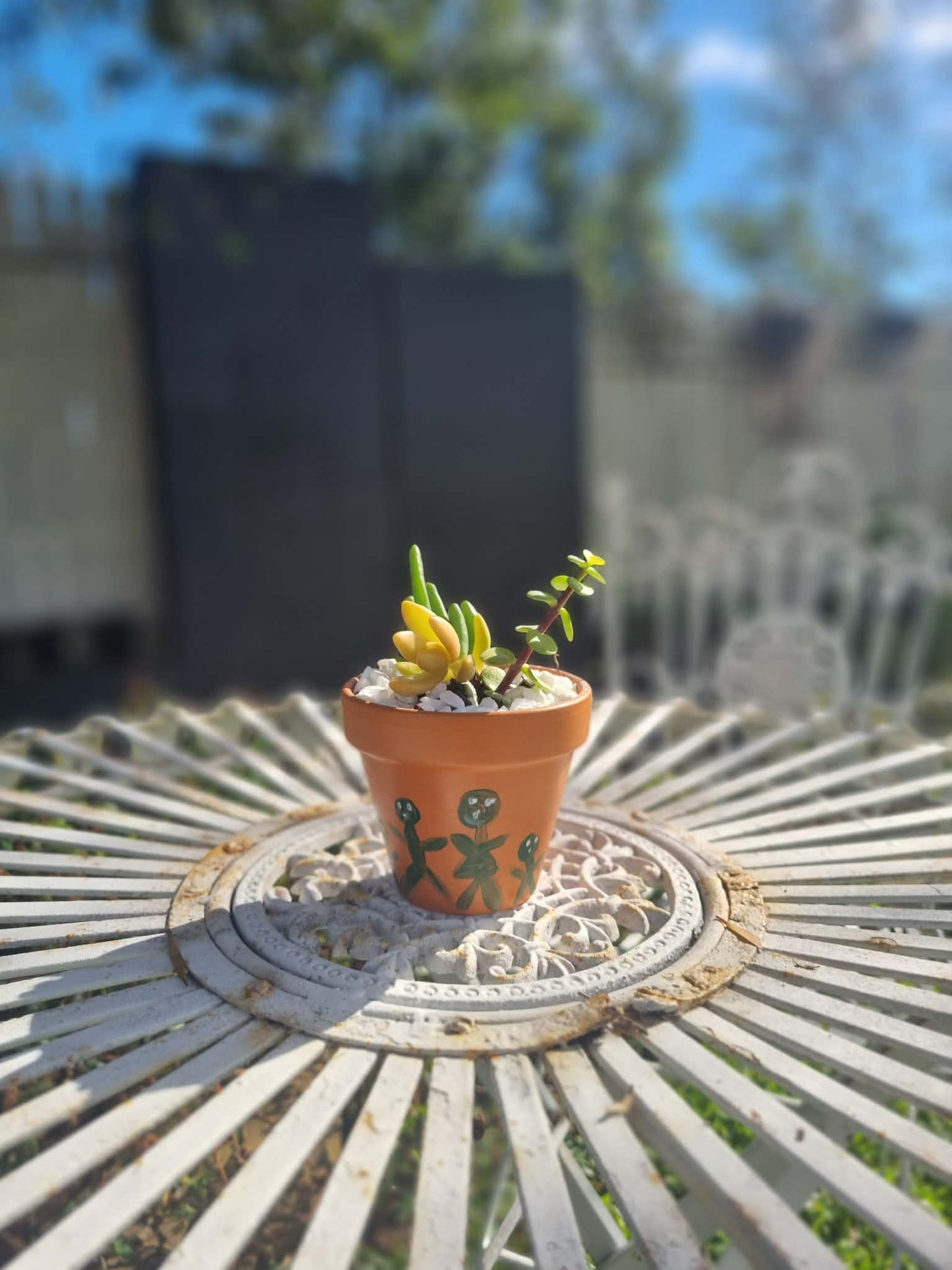 Plant Pal Party Packs (minimum 10)