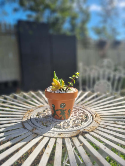 Plant Pal Party Packs (minimum 10)