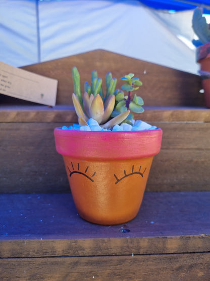 Plant Pal Party Packs (minimum 10)
