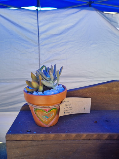 Plant Pal Party Packs (minimum 10)