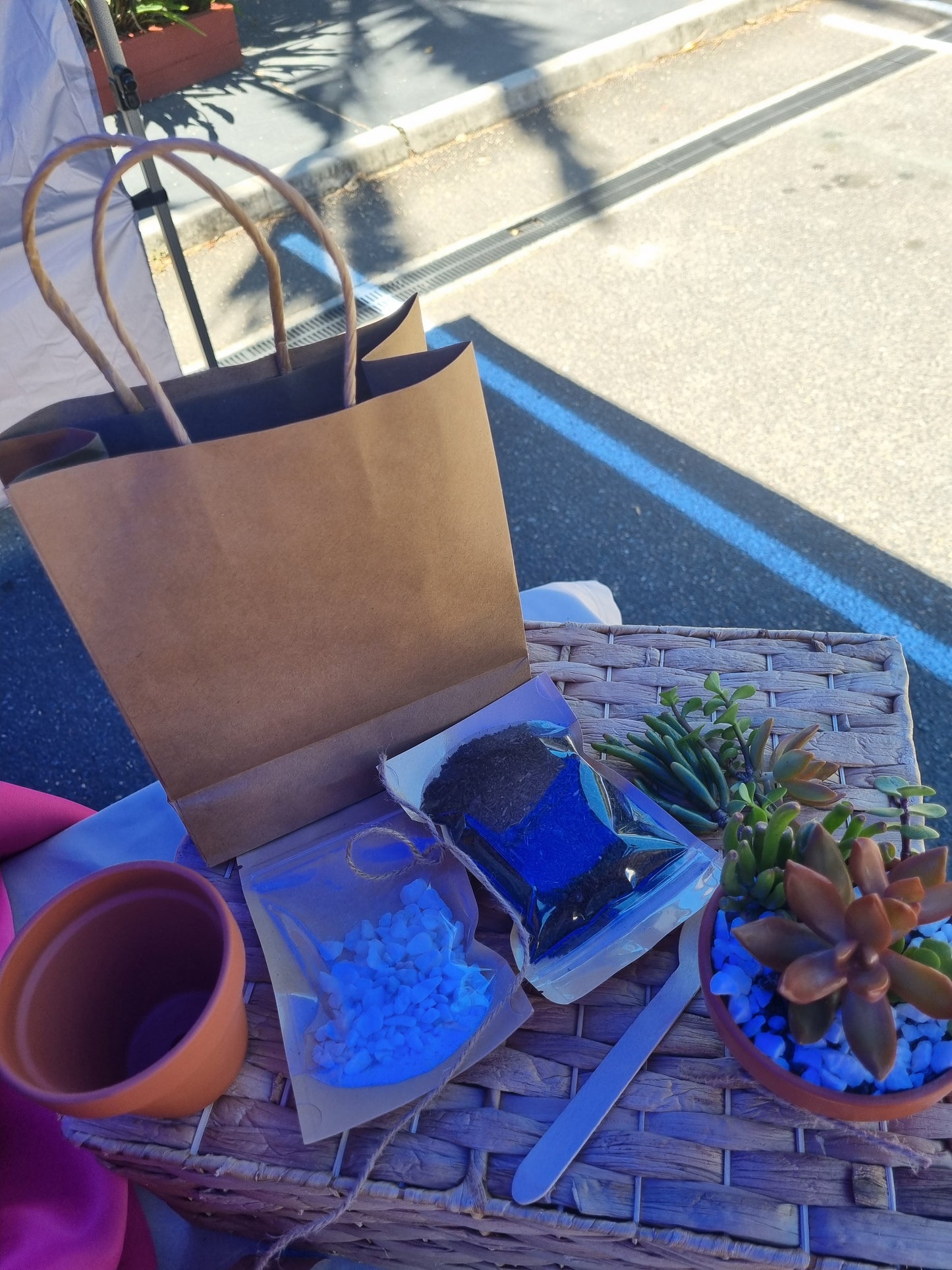Plant Pal Party Packs (minimum 10)